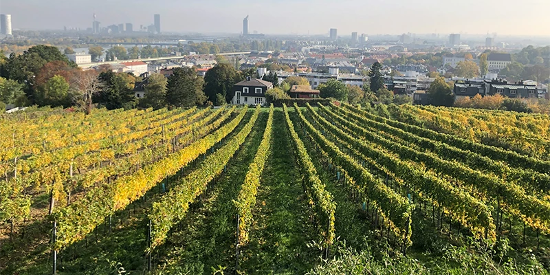 Historic Vienna scene