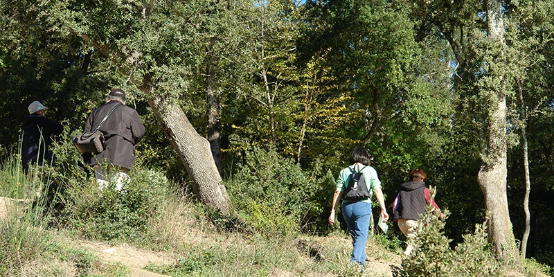 Pont du Gard upper level