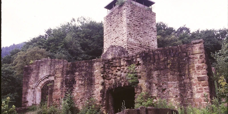 Neckarsteinach by Boat