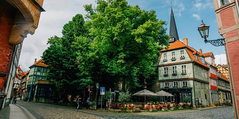 A leafy square with café tables under a large tree and timber houses around it