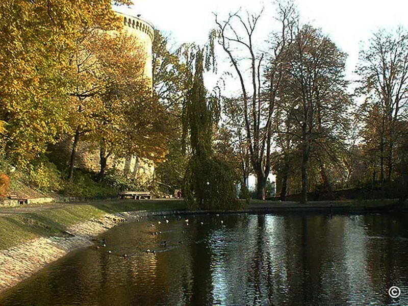 Goslar wki Goseteufel Zwingerkahnteich