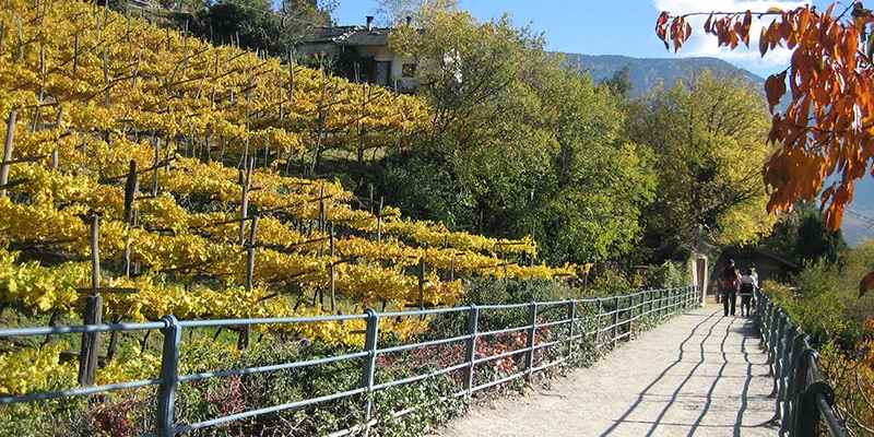 Tappeiner promenade