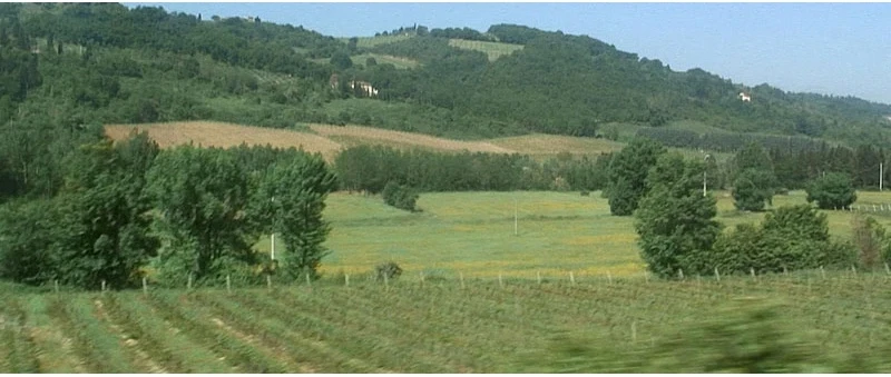 Siena ff 00 34 57 15 still333 800 mid