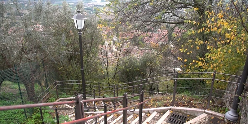 Todi2 00 16 20 07 still297
