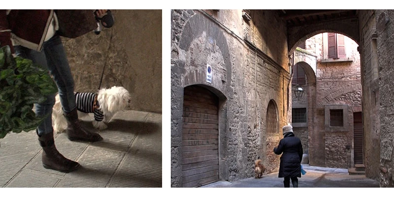 Todi2 00 19 33 22 still362 2up