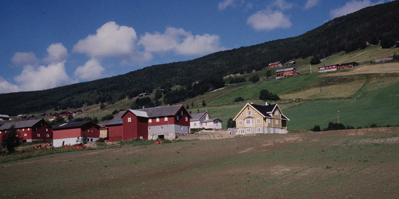 Alpine landscape