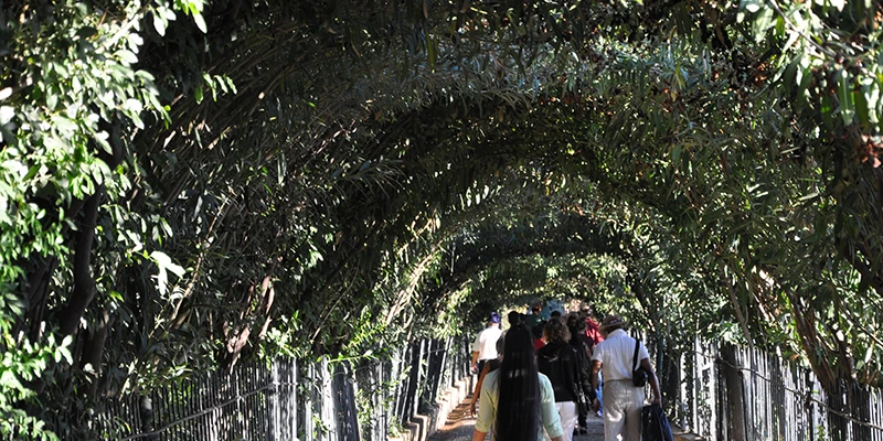 The Generalife gardens on the hillside adjacent to the Alhambra