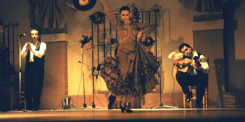 Flamenco performance