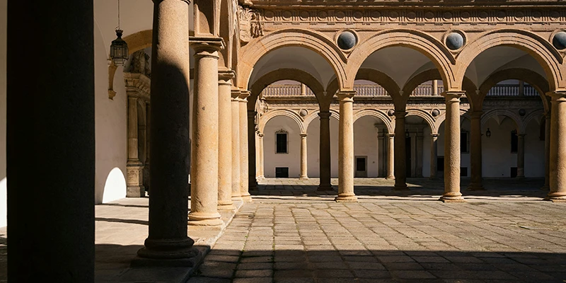Museum of Santa Cruz in a Plateresque former hospital with courtyards and galleries