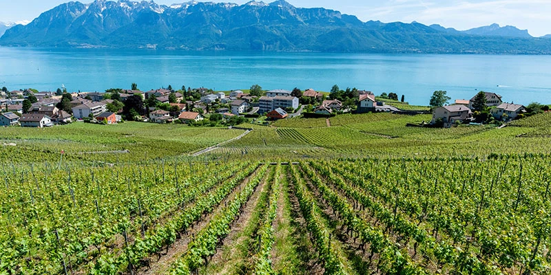 Lake Geneva shore