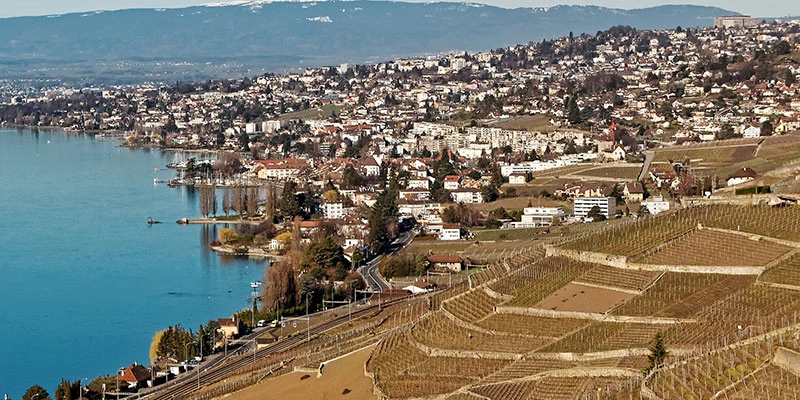 Lake Geneva vineyards