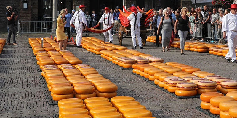 Alkmaar cheese market