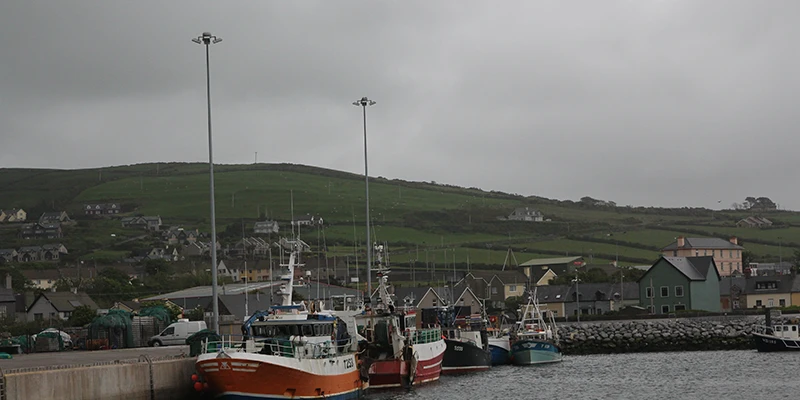 Dingle