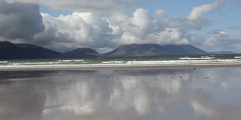 Dingle