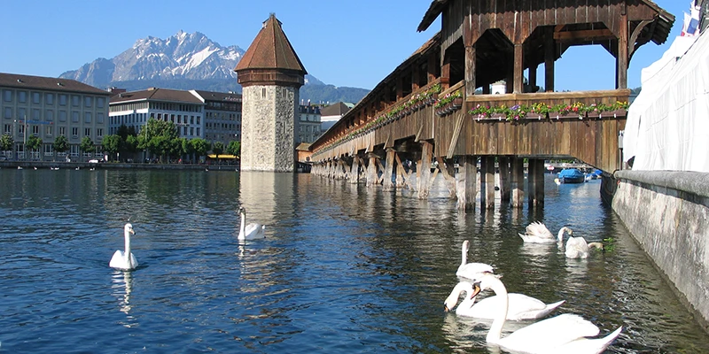 Lucerne