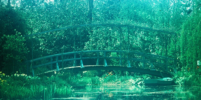 Monet's garden at Giverny