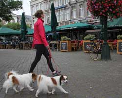 maastricht