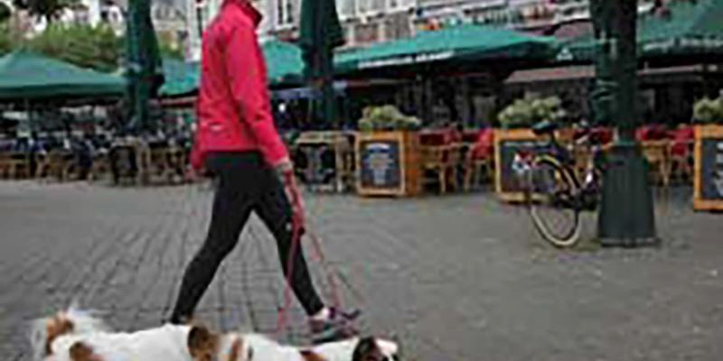 maastricht