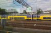 19Gouda-ff-46