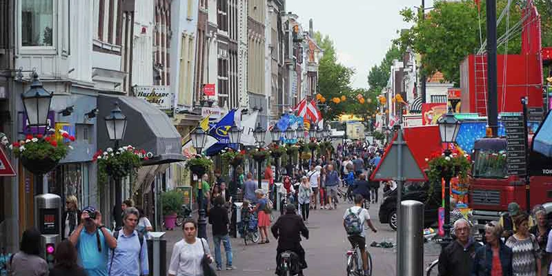 Gouda ff