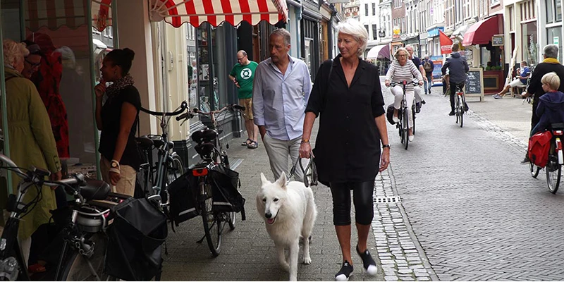 Kleine houtstraat (18)